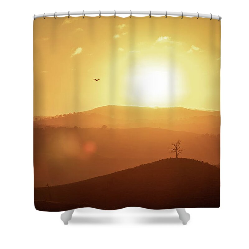 Eagle Shower Curtain featuring the photograph Flying High by Ari Rex