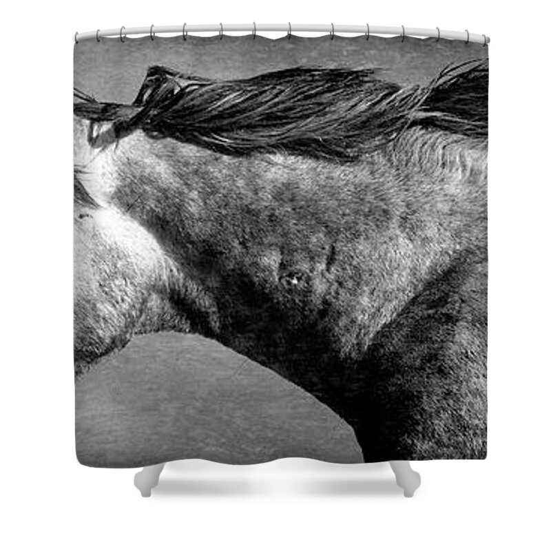 Panorama Shower Curtain featuring the photograph Flying by Mary Hone