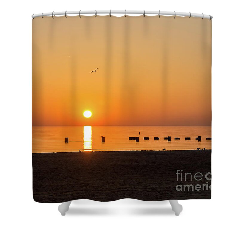 North Avenue Lake Michigan Shower Curtain featuring the photograph Flying Over The Chicago Sunrise by Jennifer White