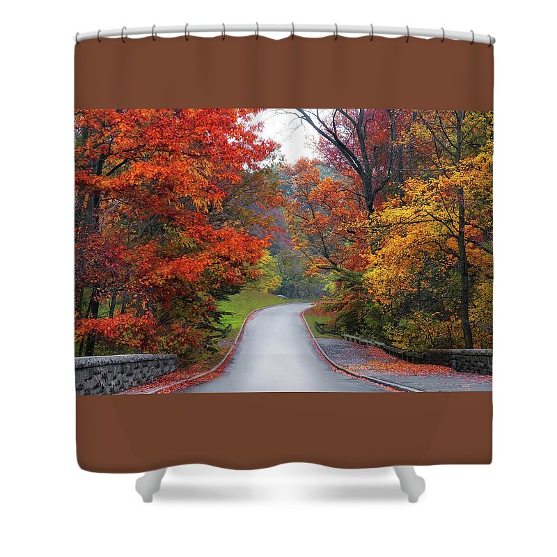 Autumn Shower Curtain featuring the photograph Majestic Autumn Road by Jessica Jenney