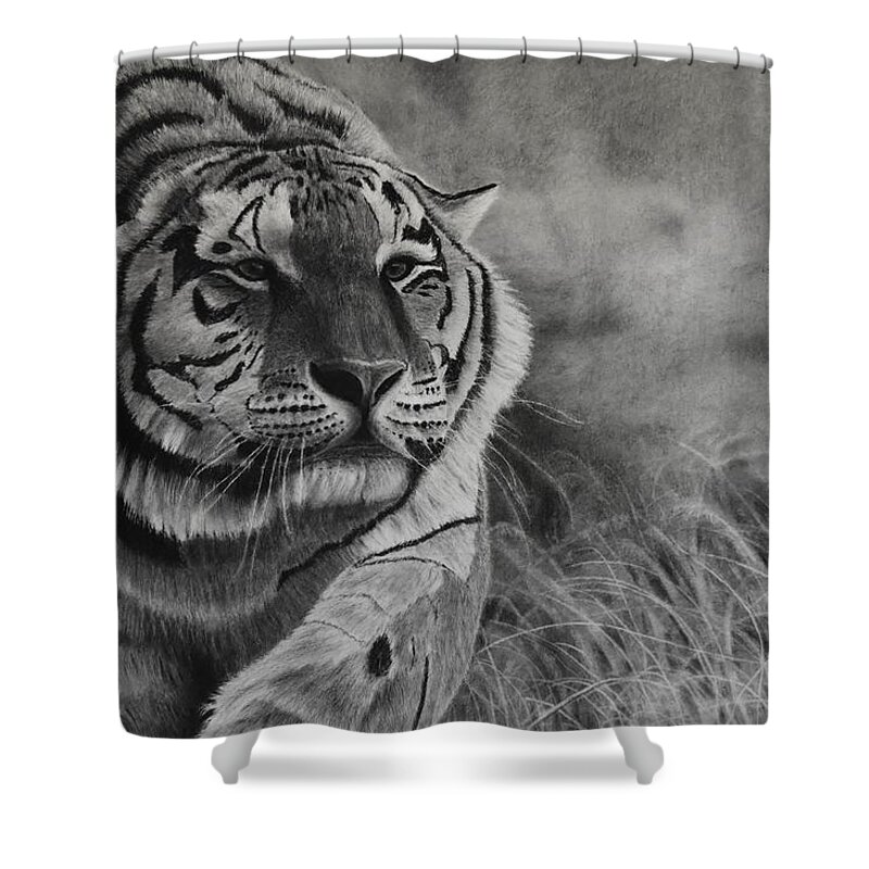 Tiger Shower Curtain featuring the drawing Focus by Greg Fox