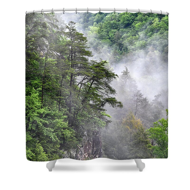 Fall Creek Falls Shower Curtain featuring the photograph Fog In Valley 2 by Phil Perkins