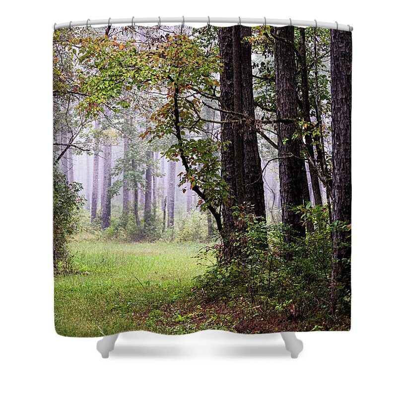Forest Shower Curtain featuring the photograph Foggy Autumn Morning in the Croatan National Forest by Bob Decker