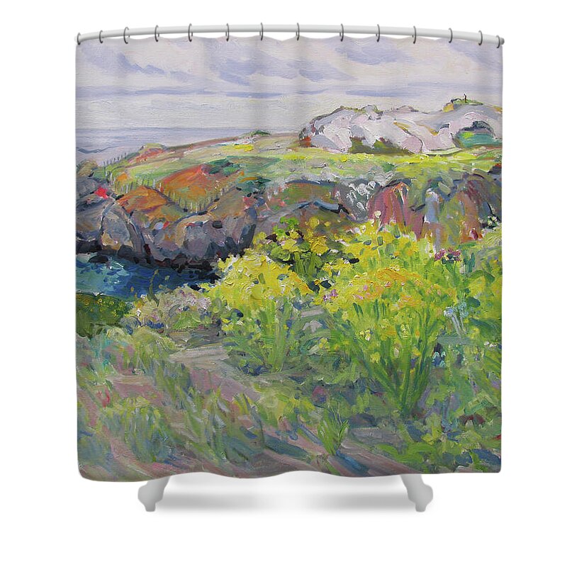 Fog Shower Curtain featuring the painting Foggy Day Duncan's Landing by John McCormick