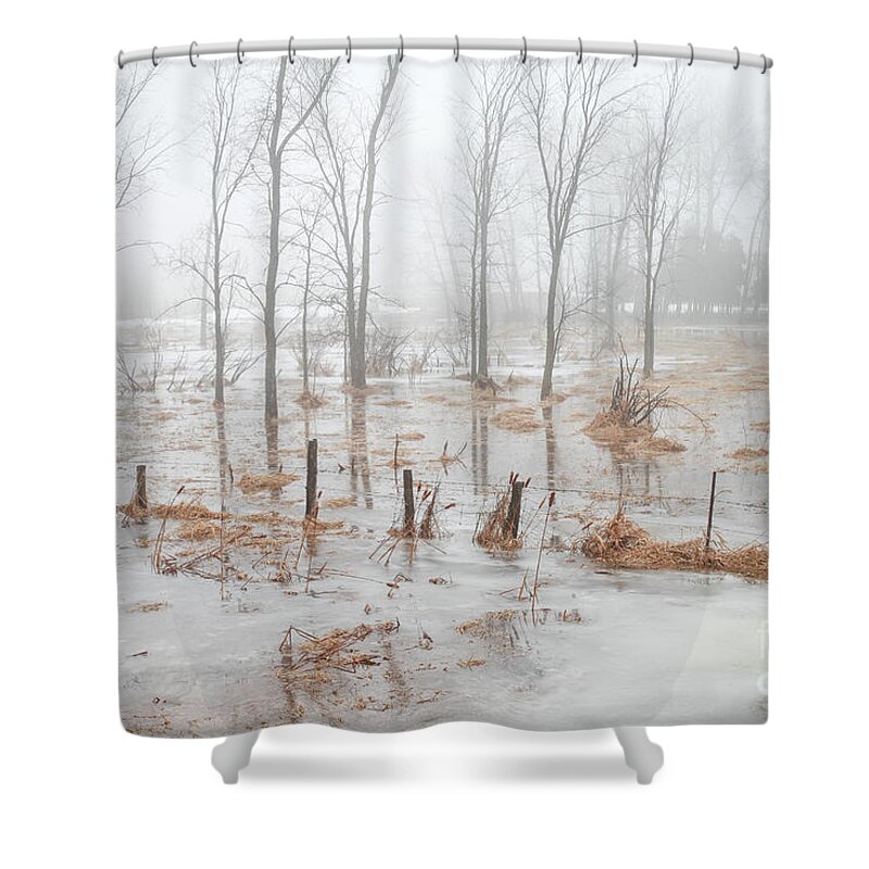 Foggy Day Shower Curtain featuring the photograph Foggy Day by Makiko Ishihara