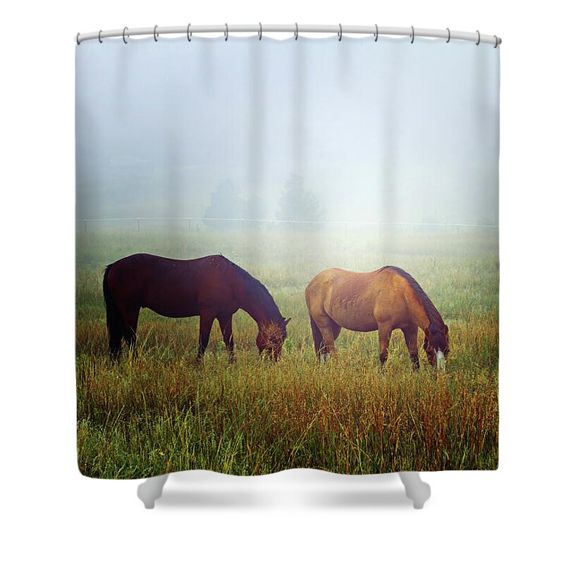 Horse Shower Curtain featuring the photograph Foggy Morning Grazing by Alana Thrower