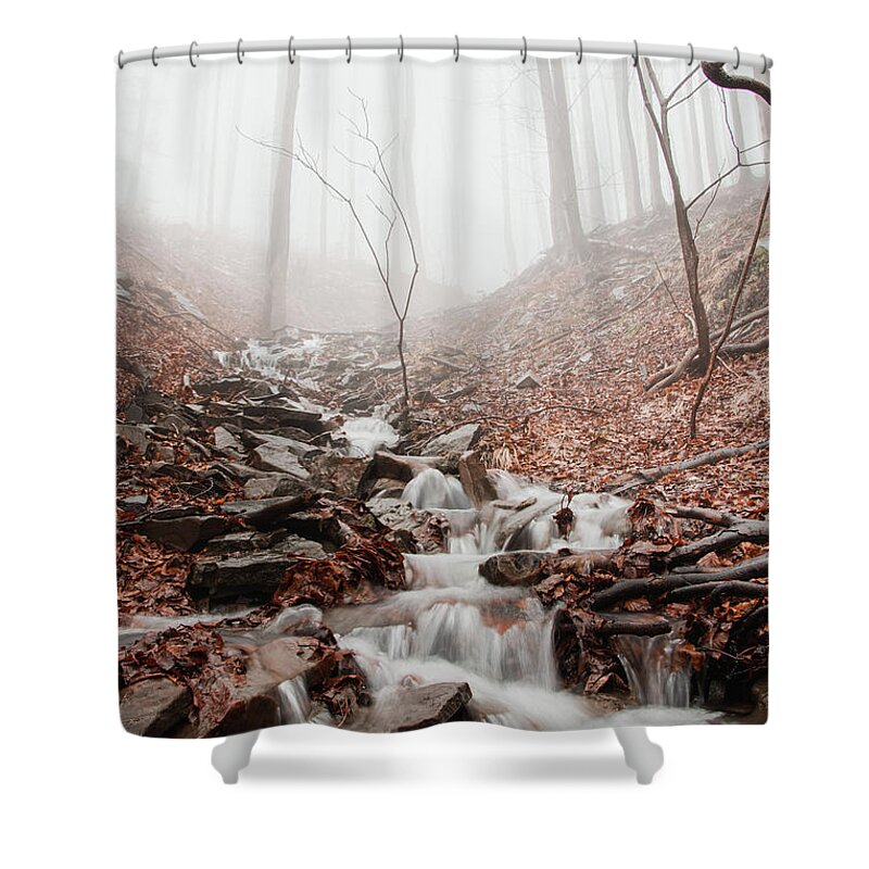 Foggy Shower Curtain featuring the photograph Foggy morning in a deciduous forest by Vaclav Sonnek
