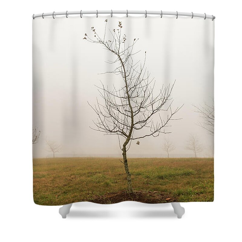 America Shower Curtain featuring the photograph Foggy Morning in Gettysburg by Amelia Pearn