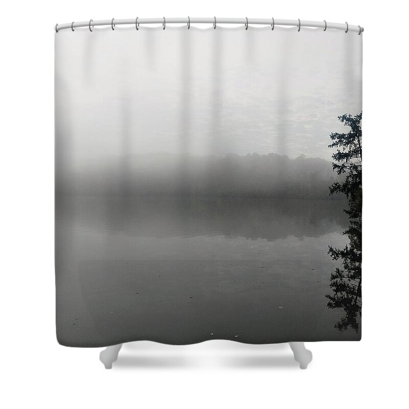  Shower Curtain featuring the photograph Foggy Morning Tree by Brad Nellis