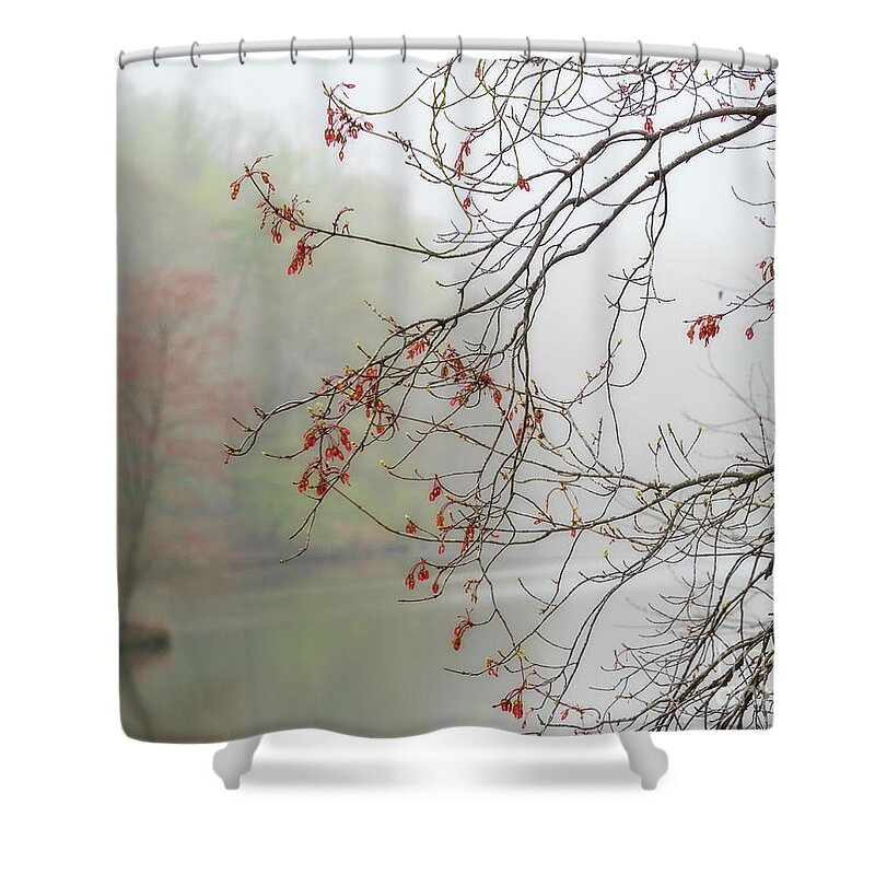 Landscape Shower Curtain featuring the photograph Foggy spring has sprung by Izet Kapetanovic
