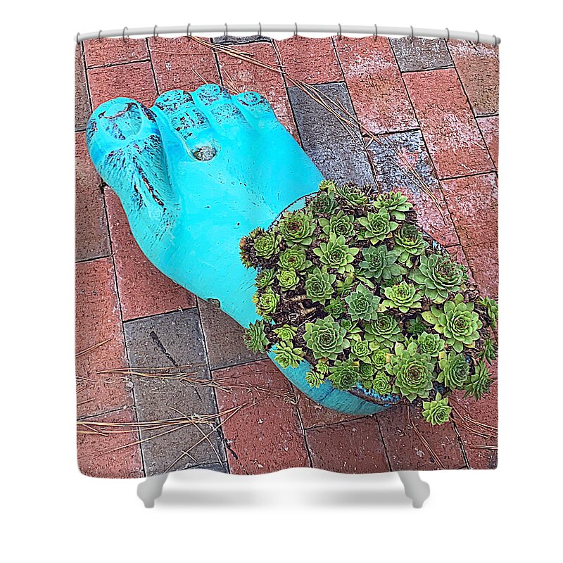Cactus Shower Curtain featuring the photograph Footlong Cactus by Lee Darnell