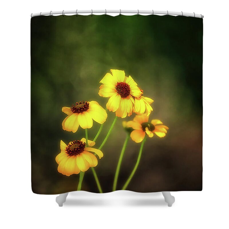 Arizona Shower Curtain featuring the photograph For Everything There is a Season by Rick Furmanek