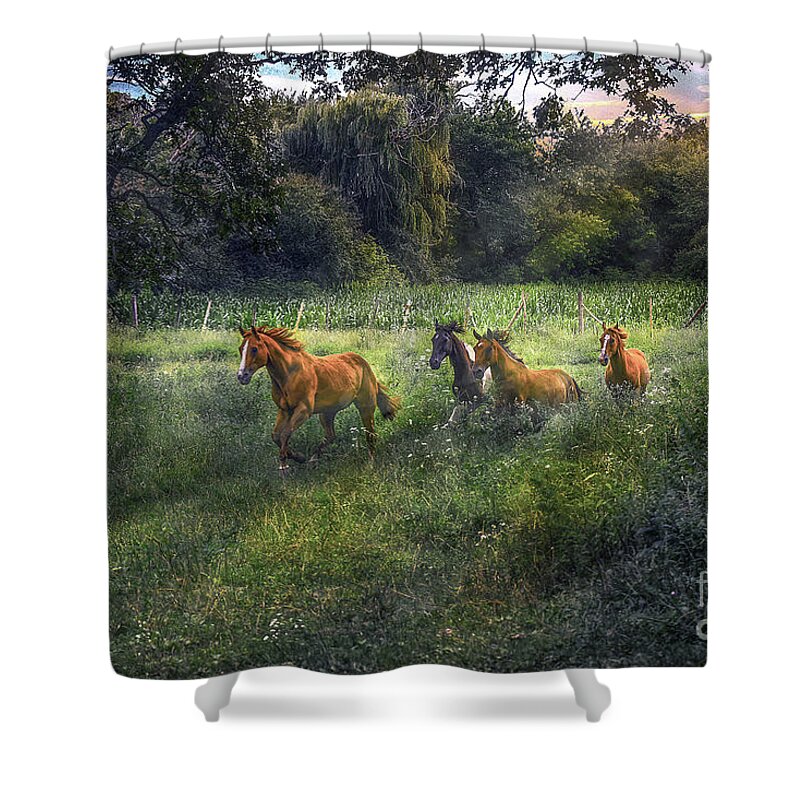Horse Shower Curtain featuring the photograph For Horses by Sandra Rust