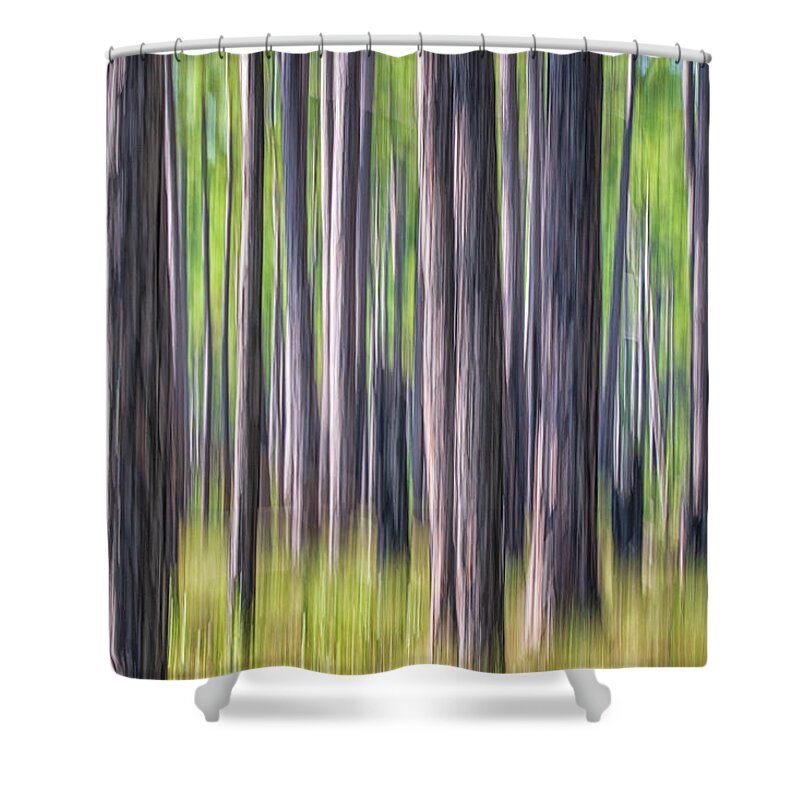Abstract Shower Curtain featuring the photograph Forest Abstract - Pines of the Croatan National Forest by Bob Decker