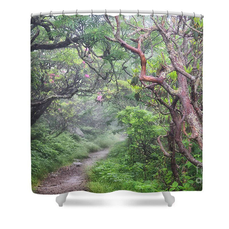 Craggy Gardens Shower Curtain featuring the photograph Forest Fantasy by Blaine Owens