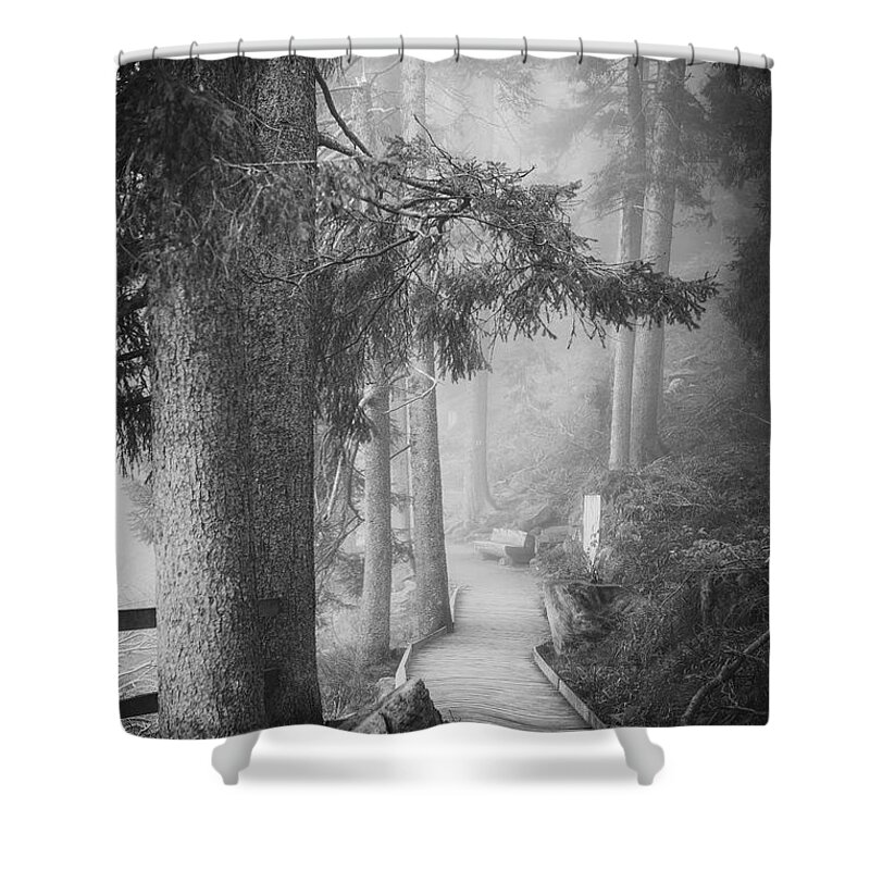 Forest Shower Curtain featuring the photograph Forest Glow by Philippe Sainte-Laudy