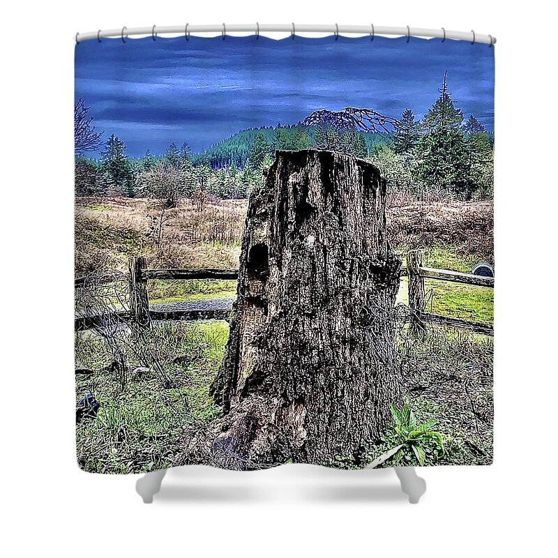 Deforestation Shower Curtain featuring the photograph Forest Remnant with Shower Looming by Michael Oceanofwisdom Bidwell