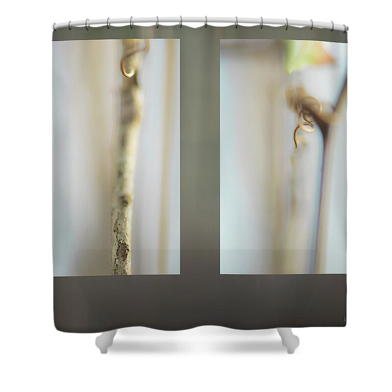 Tree Shower Curtain featuring the photograph Forest Stems by Karen Rispin