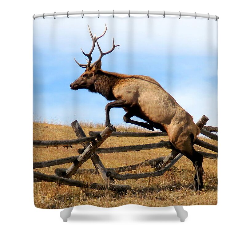 Elk Shower Curtain featuring the photograph Forever Free by Karen Shackles