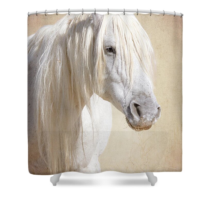 Wild Horses Shower Curtain featuring the photograph Forever Free by Mary Hone