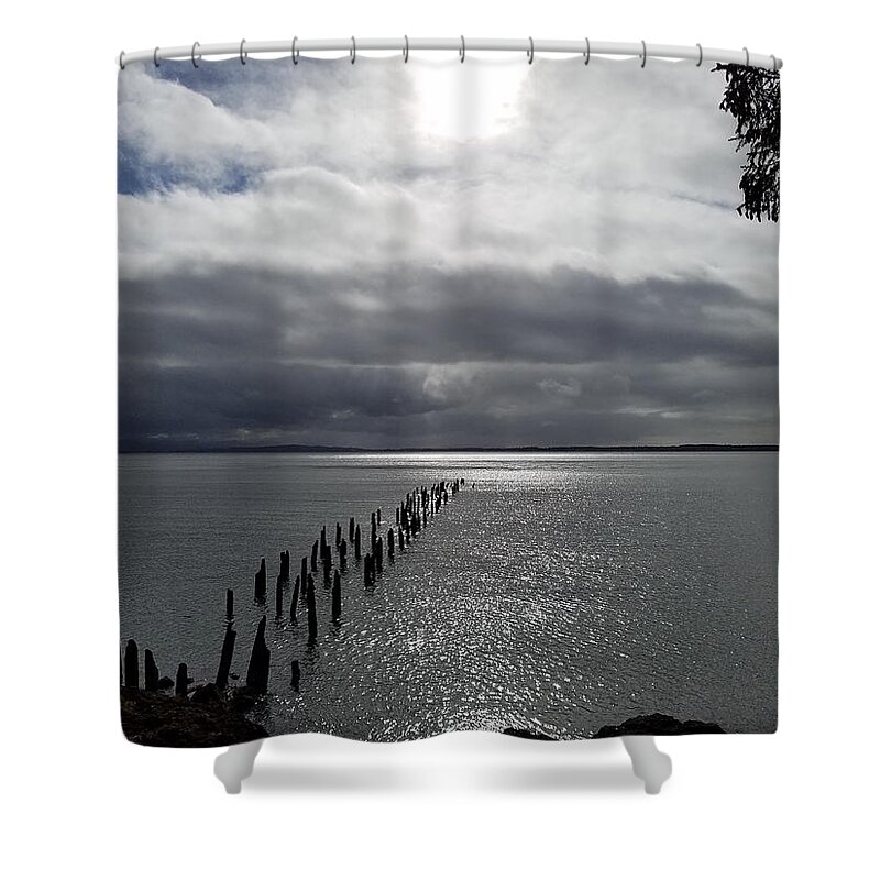 Dock Shower Curtain featuring the photograph Forgotten Dock by Brent Knippel