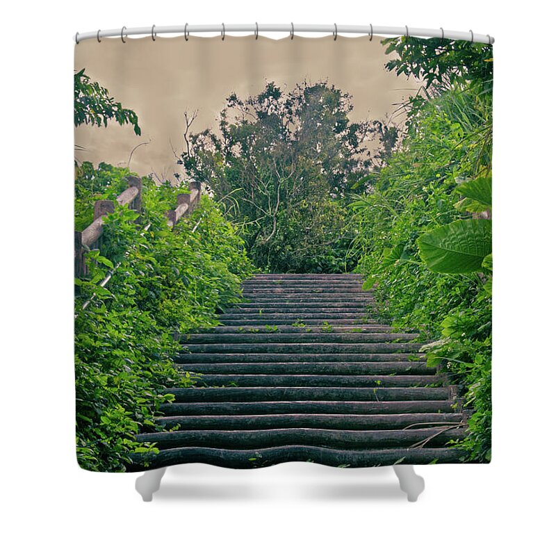 Stairs Shower Curtain featuring the photograph Forgotten stairway by Eric Hafner