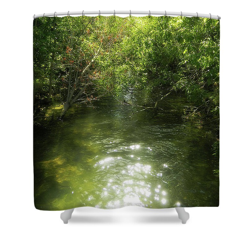 Found A New Place Shower Curtain featuring the photograph Found A New Place by Cyryn Fyrcyd