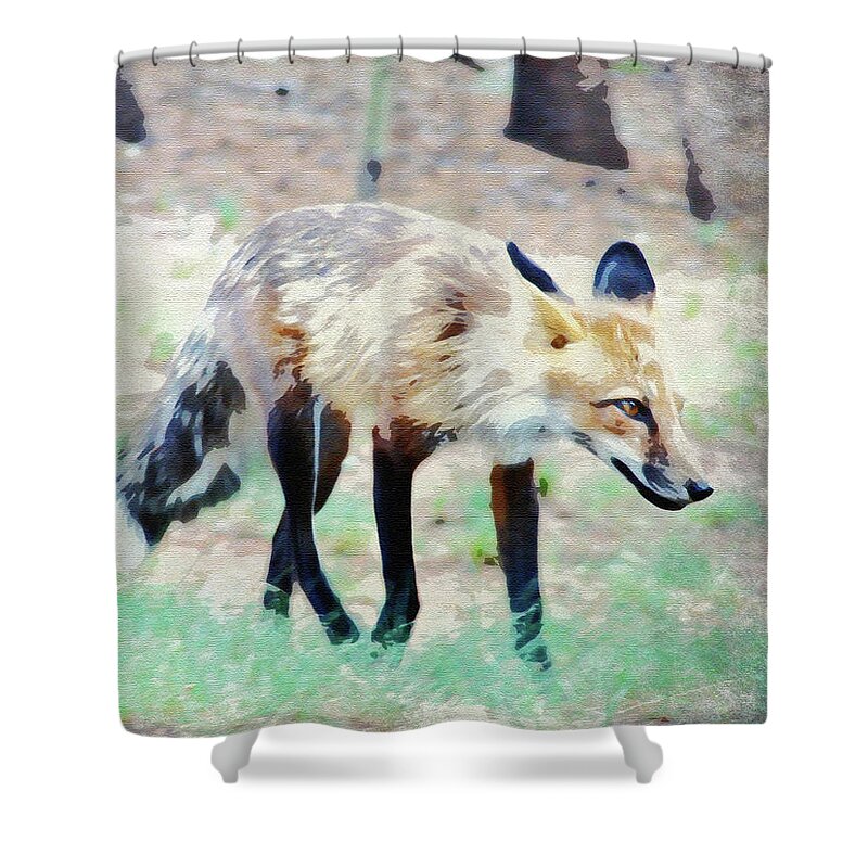 Fox Shower Curtain featuring the photograph Fox by Carl Moore