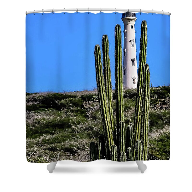 Cactus Shower Curtain featuring the photograph Framed Lighthouse by Pam Rendall