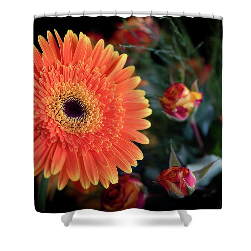 Daisies Shower Curtain featuring the photograph Fresh beautiful orange daisy flower blossom. Blooming flower by Michalakis Ppalis