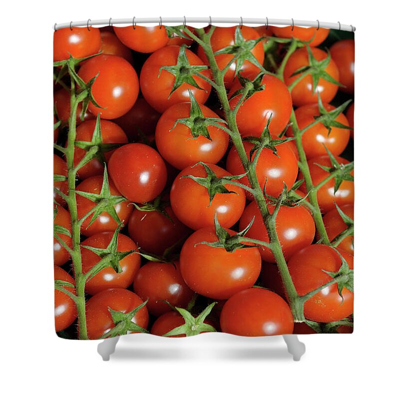 Market Shower Curtain featuring the photograph Fresh vine tomatos at the Chatillon-sur-Loire Thursday market, Chatillon-sur-Loire, Centre, France by Kevin Oke