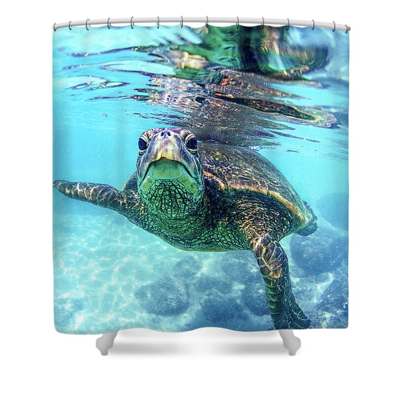 Sea Shower Curtain featuring the photograph friendly Hawaiian sea turtle by Sean Davey