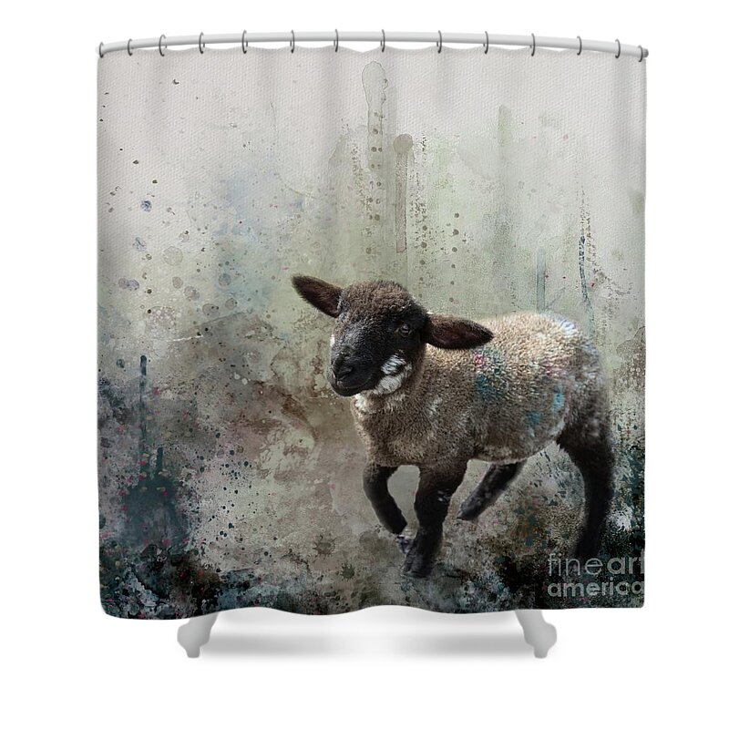 Lamb Shower Curtain featuring the photograph Frisky Lamb by Eva Lechner
