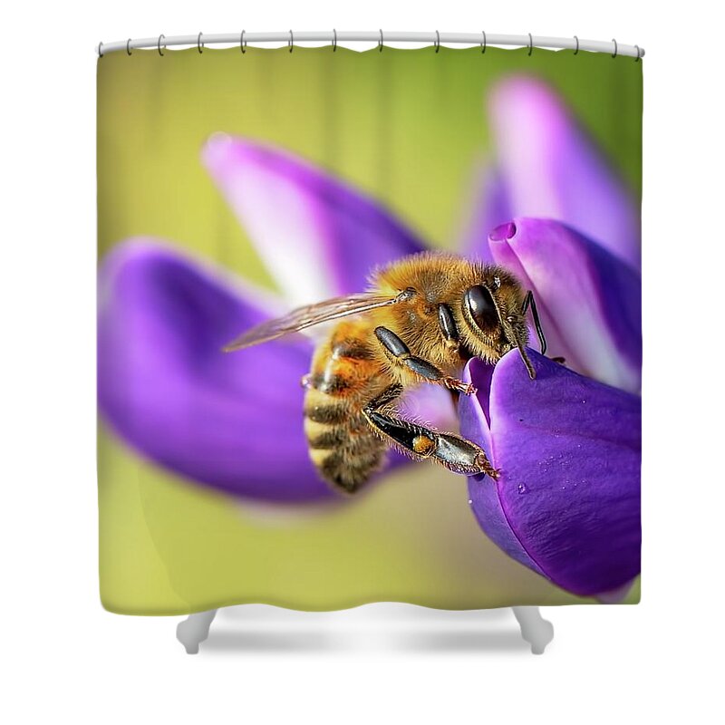Macro Shower Curtain featuring the photograph From fresh sources by Rose-Marie Karlsen