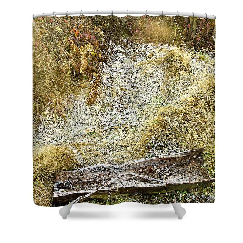 Dungeness River Shower Curtain featuring the digital art Frosty Grass by David Desautel