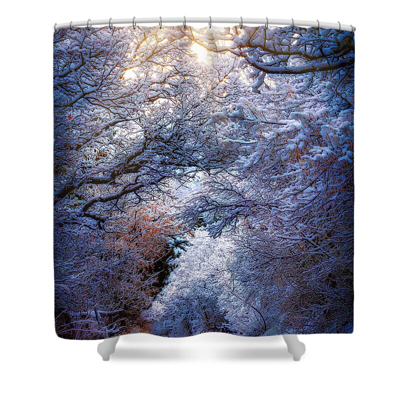 Frost Shower Curtain featuring the photograph Frosty Morning by Michael Ash
