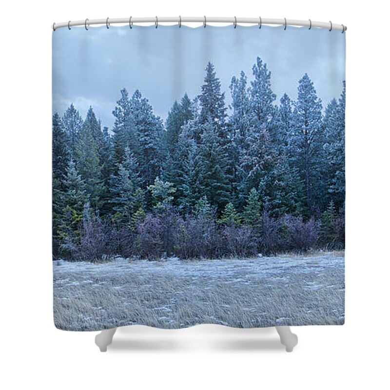 Frosty Trees Plant Tree Beauty In Nature Scenics - Nature Cloud - Sky Sky Nature Land Winter Cold Temperature No People Day Forest Tranquil Scene Non-urban Scene Tranquility Water Snow Growth Outdoors Pine Tree Coniferous Tree Evergreen Tree Pine Woodland Snowing — In Cranbrook Shower Curtain featuring the photograph Frosty Trees by Thomas Nay