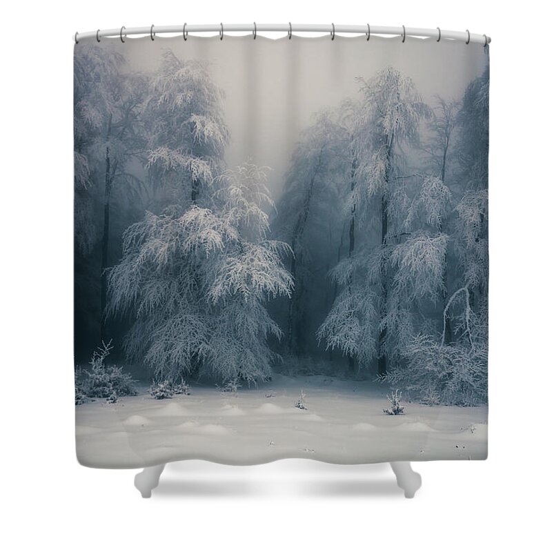 Mountain Shower Curtain featuring the photograph Frozen Forest by Evgeni Dinev