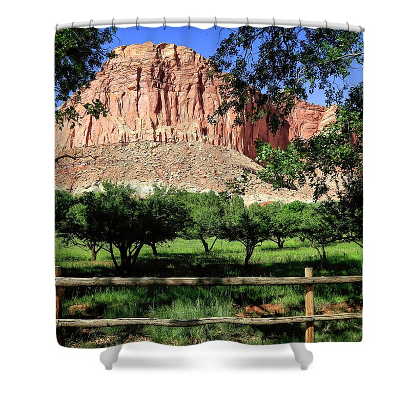 Capital Reef Shower Curtain featuring the photograph Fruita Orchards - Capital Reef by Donna Kennedy