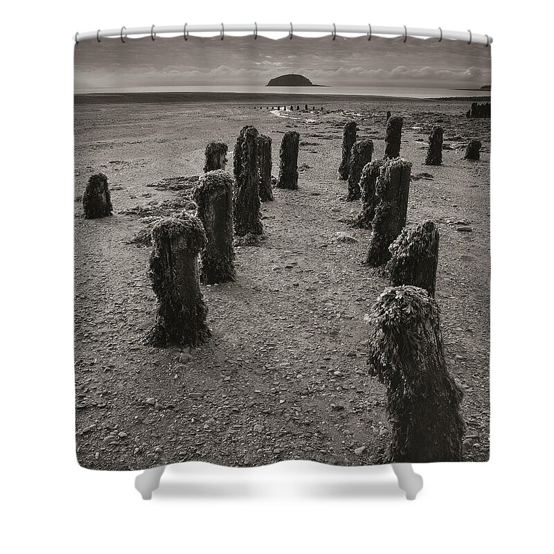 Canada; Nova Scotia; Fundy; Bay Of Fundy; Spencer Island; Pier; Pilings; Beach; Clouds; Seaweed; B&w; Black & White; Monochrome; Vertical; Nature Photography; Landscape Photography; Scenic Shower Curtain featuring the photograph Fundy Dock by Tom Daniel