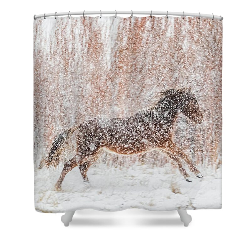 Nevada Shower Curtain featuring the photograph Galloping in the Snow by Marc Crumpler