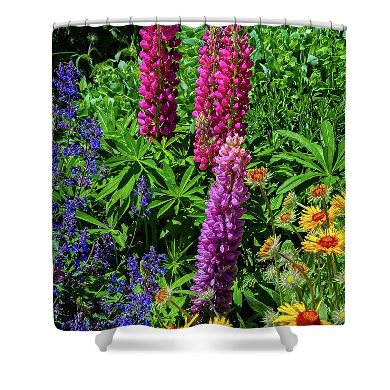 Crested Butte Shower Curtain featuring the photograph Garden Beauties in Mount Crested Butte by Lynn Bauer