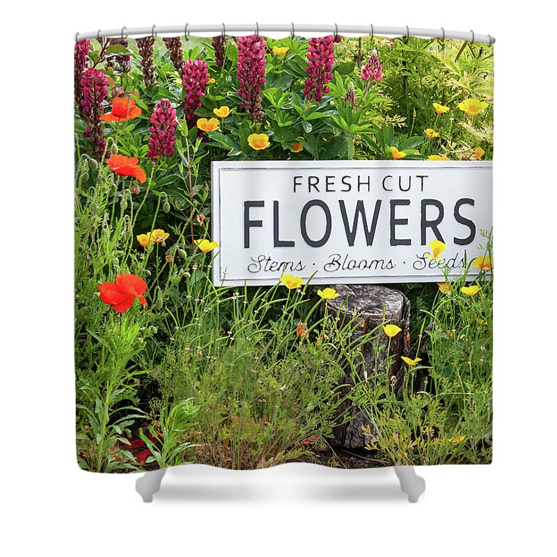 Arrangement Shower Curtain featuring the photograph Garden flowers with fresh cut flower sign 0771 by Simon Bratt