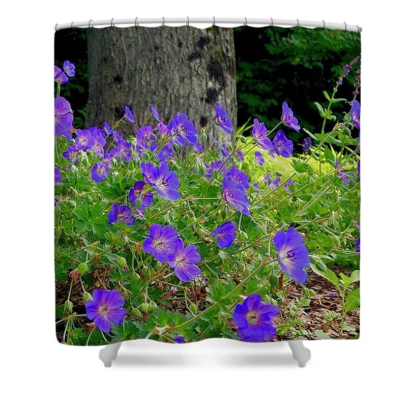 Flowers Shower Curtain featuring the photograph Garden of Cranesbill by Alida M Haslett