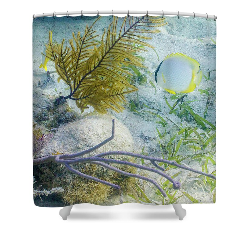Animals Shower Curtain featuring the photograph Garden Spot by Lynne Browne