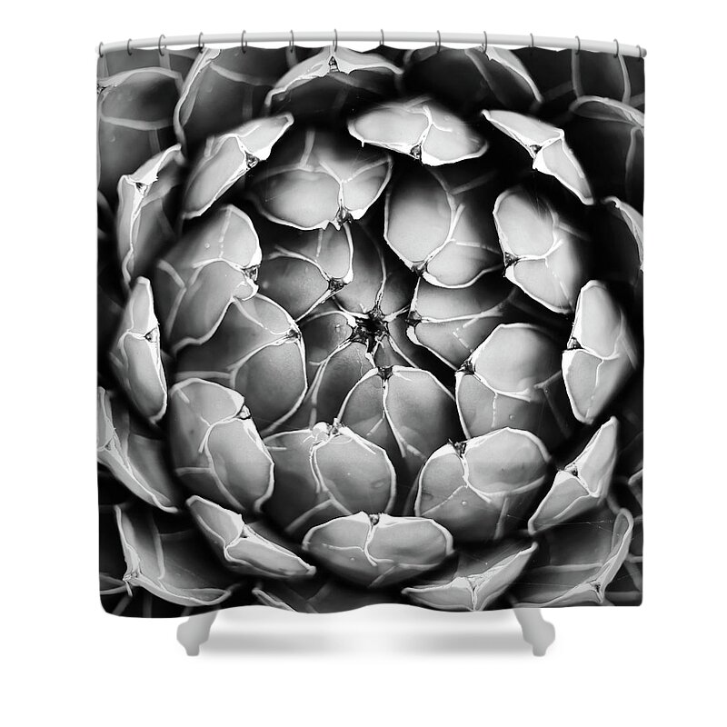 Black Shower Curtain featuring the photograph Garden Succulent Botanicals III Black and White by Debra and Dave Vanderlaan