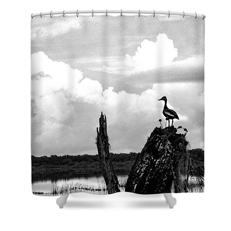 Clouds Shower Curtain featuring the photograph Gathering Storm by Rick Redman