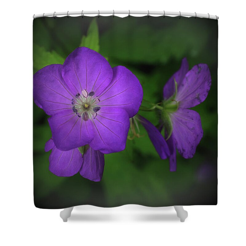 Trail Shower Curtain featuring the photograph Geranium along a Trail in the Smokies by James C Richardson