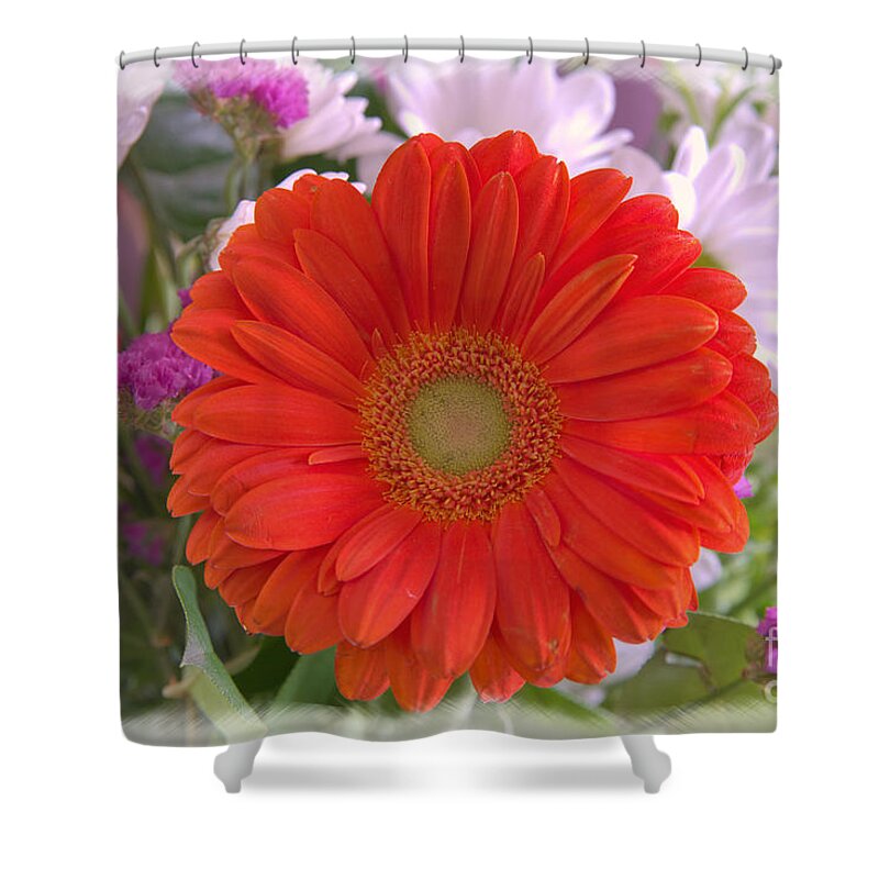Flowers Shower Curtain featuring the photograph Gerbera Daisy Closeup by Kae Cheatham