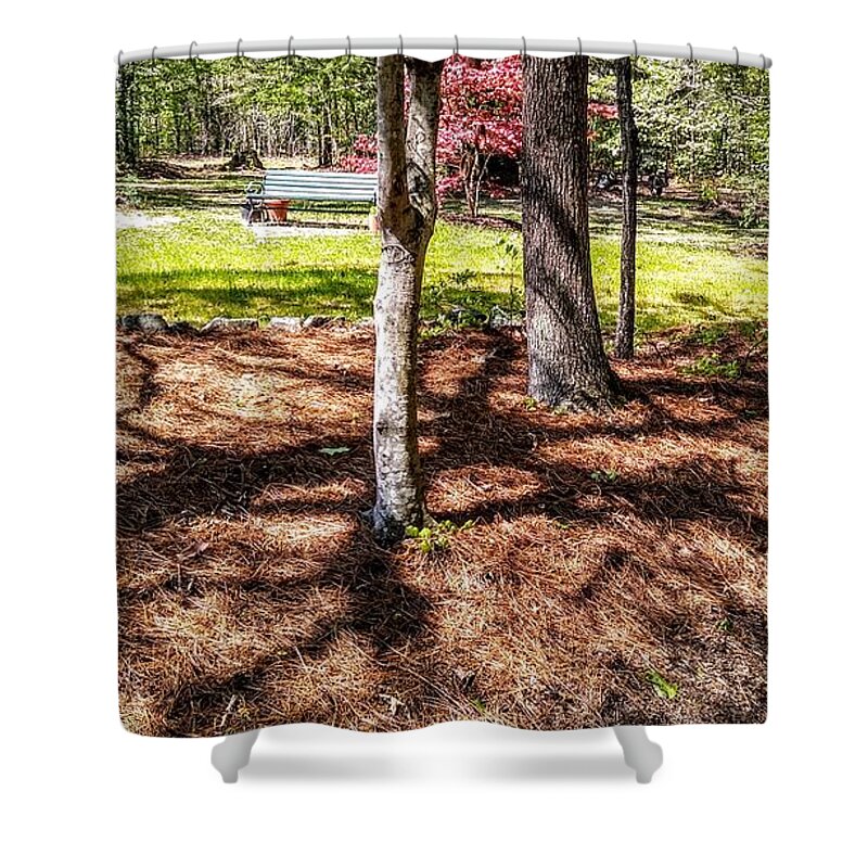 Serene Shower Curtain featuring the photograph Getaway by Suzanne Berthier
